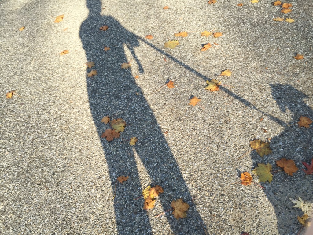 walking-shadows