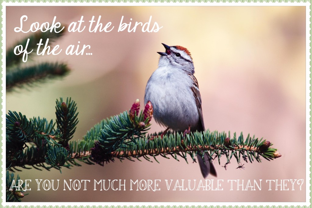 the-birds-of-the-air